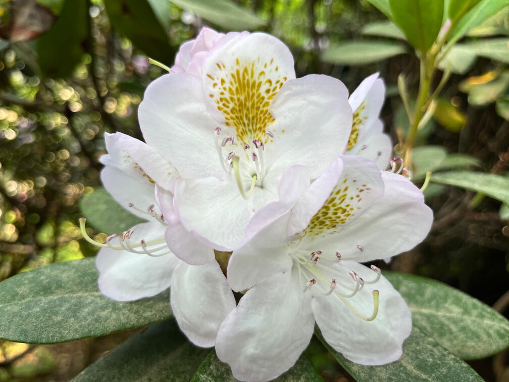 23-06-03 17-00-13 5812